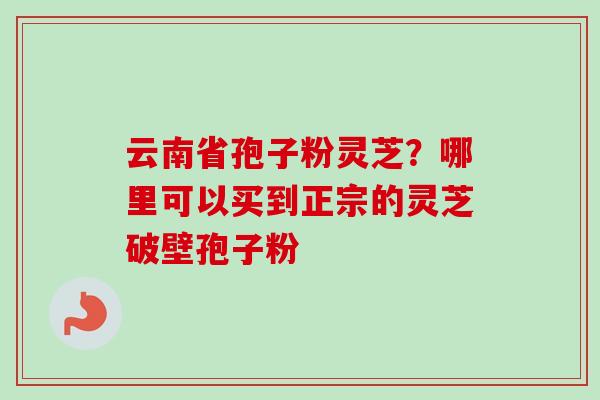 云南省孢子粉灵芝？哪里可以买到正宗的灵芝破壁孢子粉