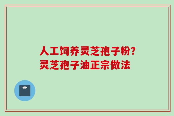 人工饲养灵芝孢子粉？灵芝孢子油正宗做法