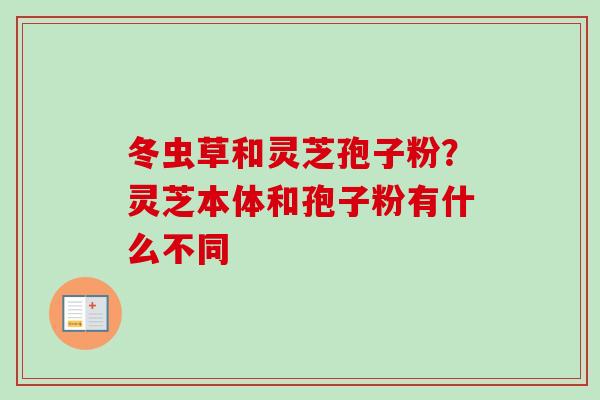 冬虫草和灵芝孢子粉？灵芝本体和孢子粉有什么不同