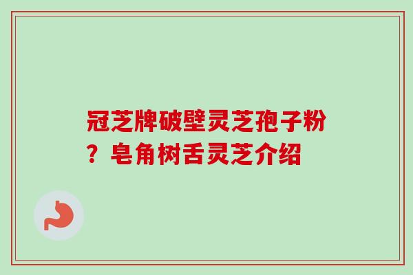 冠芝牌破壁灵芝孢子粉？皂角树舌灵芝介绍