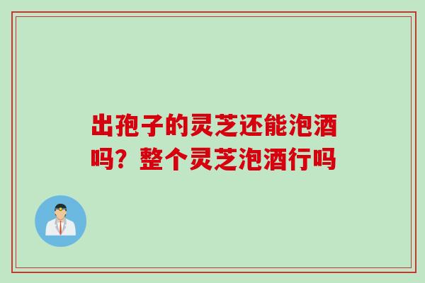 出孢子的灵芝还能泡酒吗？整个灵芝泡酒行吗