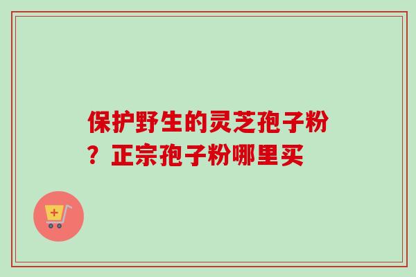 保护野生的灵芝孢子粉？正宗孢子粉哪里买