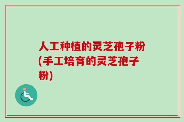人工种植的灵芝孢子粉(手工培育的灵芝孢子粉)