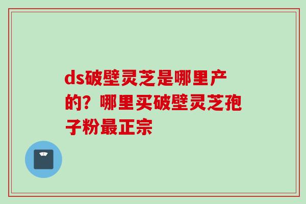 ds破壁灵芝是哪里产的？哪里买破壁灵芝孢子粉最正宗