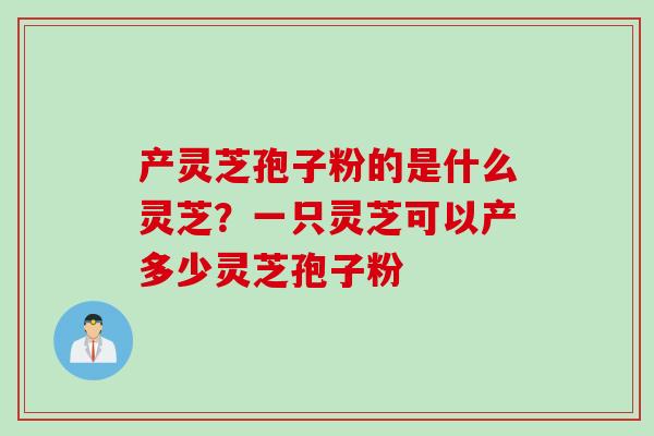 产灵芝孢子粉的是什么灵芝？一只灵芝可以产多少灵芝孢子粉