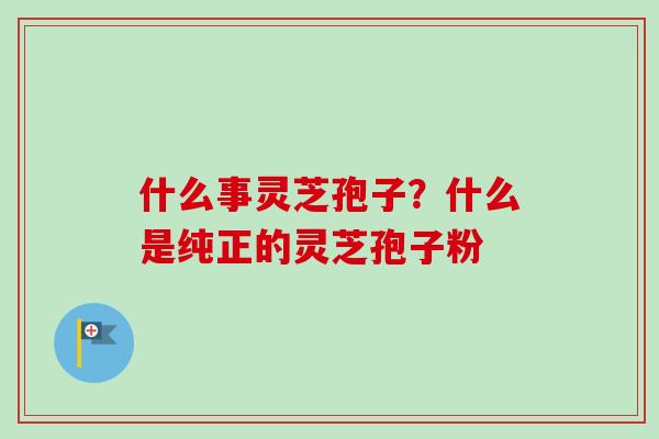 什么事灵芝孢子？什么是纯正的灵芝孢子粉