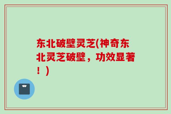 东北破壁灵芝(神奇东北灵芝破壁，功效显著！)
