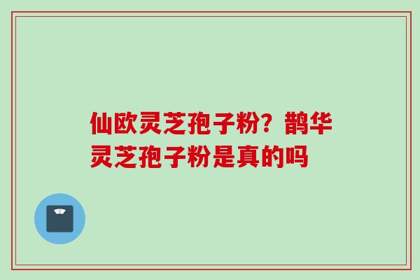 仙欧灵芝孢子粉？鹊华灵芝孢子粉是真的吗
