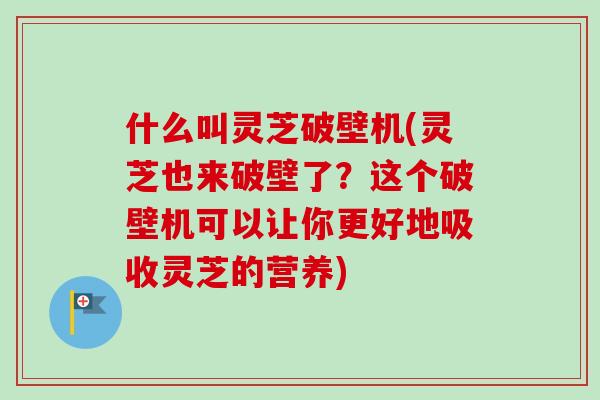 什么叫灵芝破壁机(灵芝也来破壁了?这个破壁机可以让你更好地吸收灵芝的营养) 什么叫灵芝破壁机(灵芝也来破壁了?这个破壁机可以让你更好地吸收灵芝的营养)