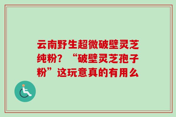 云南野生超微破壁灵芝纯粉？“破壁灵芝孢子粉”这玩意真的有用么