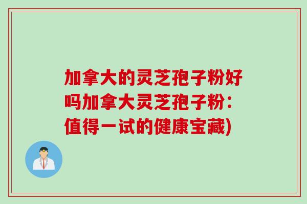 加拿大的灵芝孢子粉好吗加拿大灵芝孢子粉：值得一试的健康宝藏)
