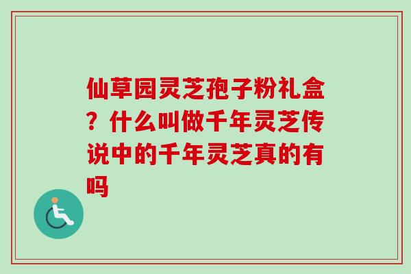 仙草园灵芝孢子粉礼盒？什么叫做千年灵芝传说中的千年灵芝真的有吗