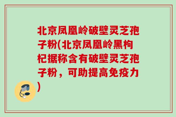 北京凤凰岭破壁灵芝孢子粉(北京凤凰岭黑枸杞据称含有破壁灵芝孢子粉，可助提高免疫力)