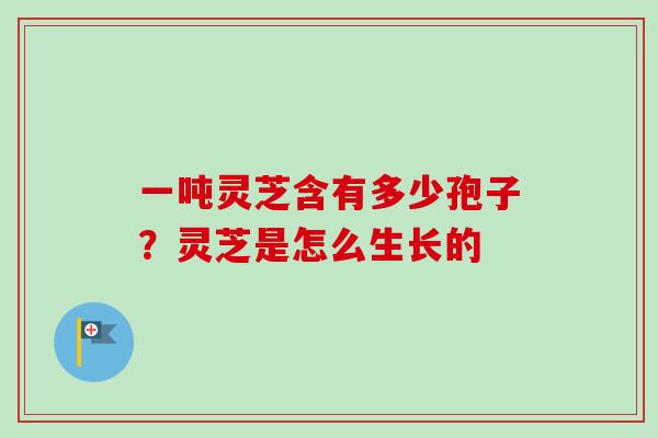 一吨灵芝含有多少孢子？灵芝是怎么生长的