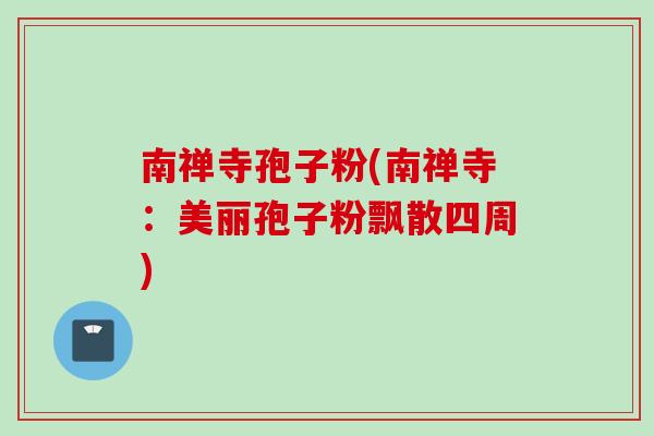 南禅寺孢子粉(南禅寺：美丽孢子粉飘散四周)