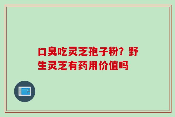 口臭吃灵芝孢子粉？野生灵芝有药用价值吗