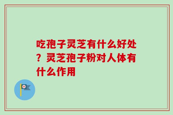 吃孢子灵芝有什么好处？灵芝孢子粉对人体有什么作用