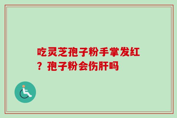 吃灵芝孢子粉手掌发红？孢子粉会伤肝吗