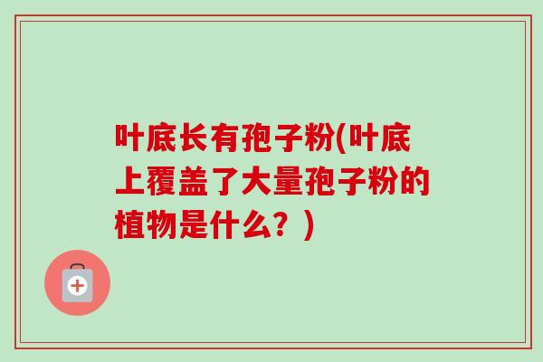 叶底长有孢子粉(叶底上覆盖了大量孢子粉的植物是什么？)