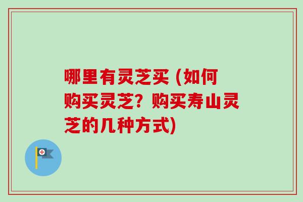 哪里有灵芝买 (如何购买灵芝？购买寿山灵芝的几种方式)