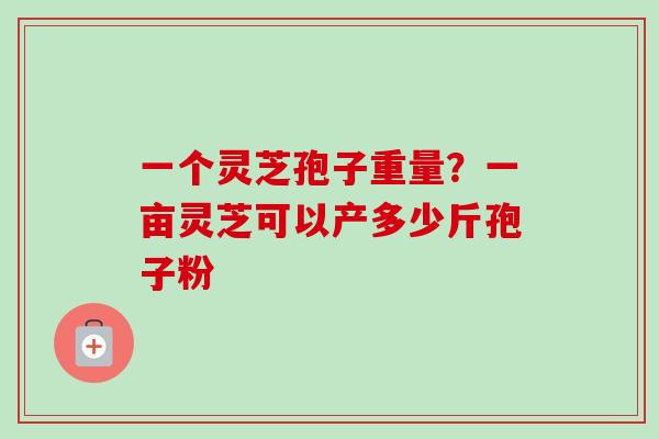 一个灵芝孢子重量？一亩灵芝可以产多少斤孢子粉