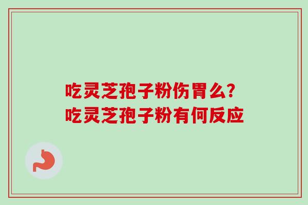 吃灵芝孢子粉伤胃么？吃灵芝孢子粉有何反应