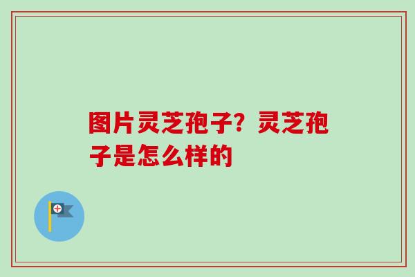 图片灵芝孢子？灵芝孢子是怎么样的