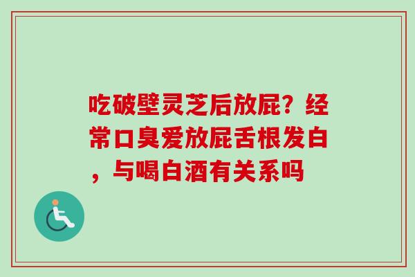 吃破壁灵芝后放屁？经常口臭爱放屁舌根发白，与喝白酒有关系吗