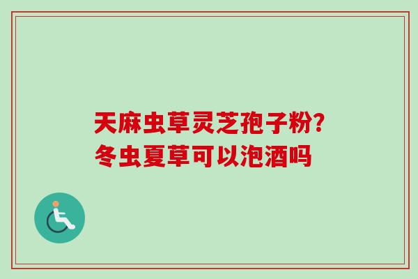 天麻虫草灵芝孢子粉？冬虫夏草可以泡酒吗
