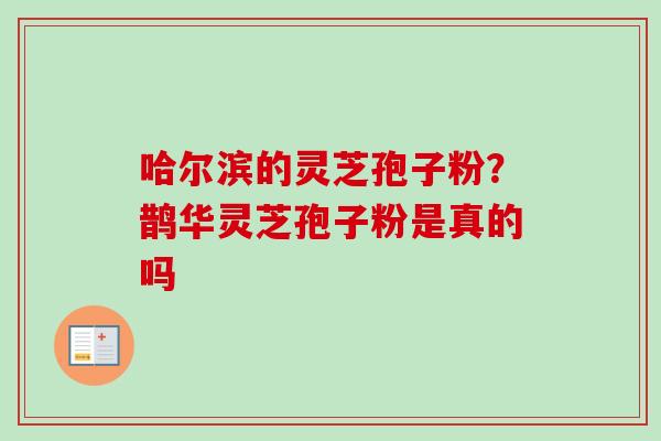 哈尔滨的灵芝孢子粉?鹊华灵芝孢子粉是真的吗 哈尔滨的灵芝孢子粉?鹊华灵芝孢子粉是真的吗