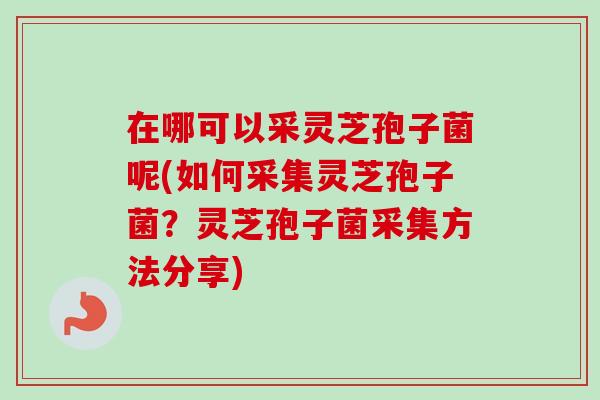 在哪可以采灵芝孢子菌呢(如何采集灵芝孢子菌？灵芝孢子菌采集方法分享)
