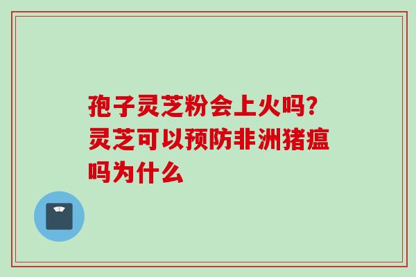 孢子灵芝粉会上火吗？灵芝可以预防非洲猪瘟吗为什么