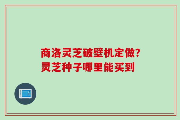 商洛灵芝破壁机定做？灵芝种子哪里能买到