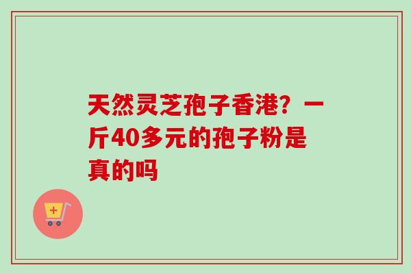 天然灵芝孢子香港？一斤40多元的孢子粉是真的吗
