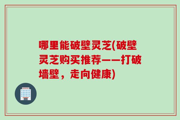 哪里能破壁灵芝(破壁灵芝购买推荐——打破墙壁,走向健康) 哪里能破壁灵芝(破壁灵芝购买推荐——打破墙壁,走向健康)