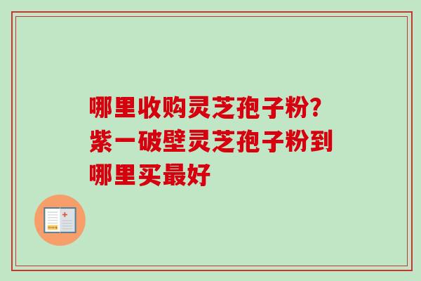 哪里收购灵芝孢子粉？紫一破壁灵芝孢子粉到哪里买最好