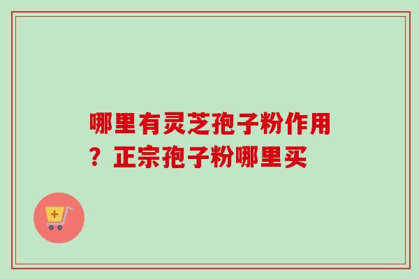 哪里有灵芝孢子粉作用？正宗孢子粉哪里买