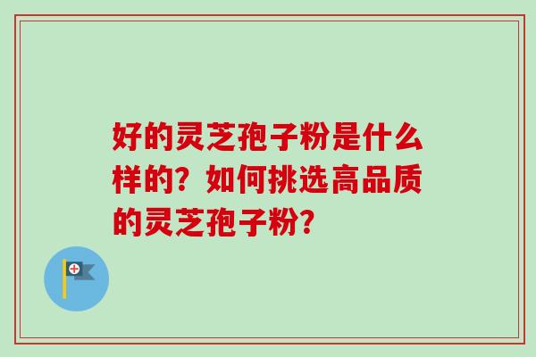 好的灵芝孢子粉是什么样的？如何挑选高品质的灵芝孢子粉？