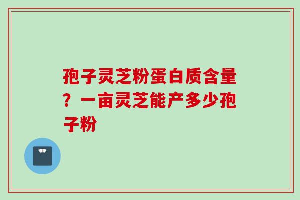 孢子灵芝粉蛋白质含量？一亩灵芝能产多少孢子粉