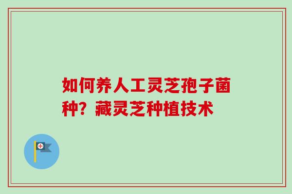 如何养人工灵芝孢子菌种？藏灵芝种植技术