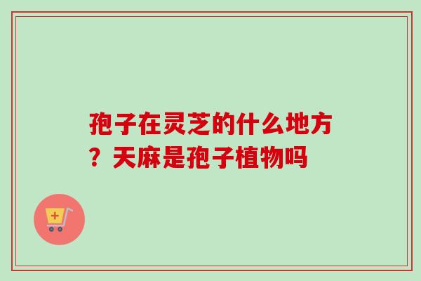 孢子在灵芝的什么地方？天麻是孢子植物吗