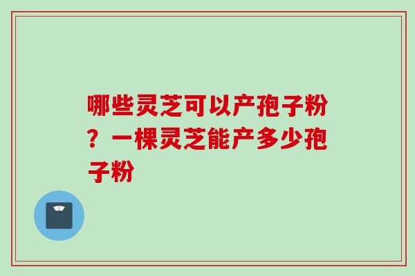 哪些灵芝可以产孢子粉？一棵灵芝能产多少孢子粉