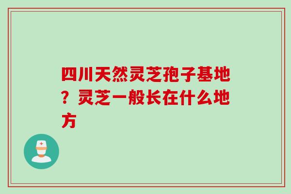 四川天然灵芝孢子基地？灵芝一般长在什么地方