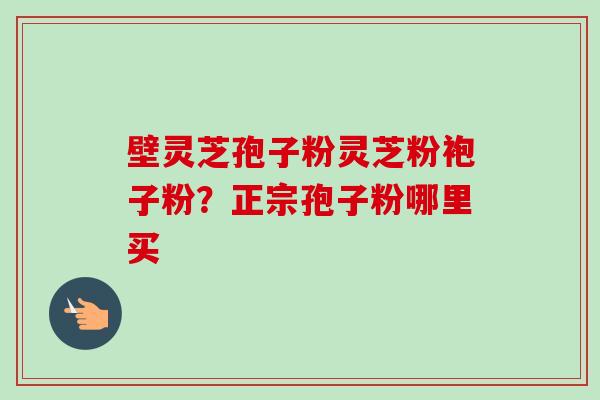 壁灵芝孢子粉灵芝粉袍子粉？正宗孢子粉哪里买