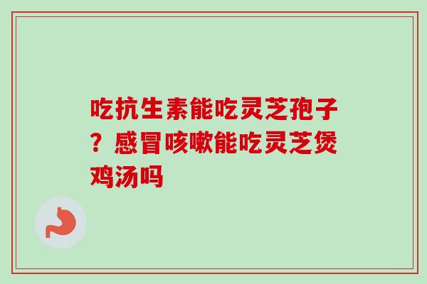 吃抗生素能吃灵芝孢子？感冒咳嗽能吃灵芝煲鸡汤吗