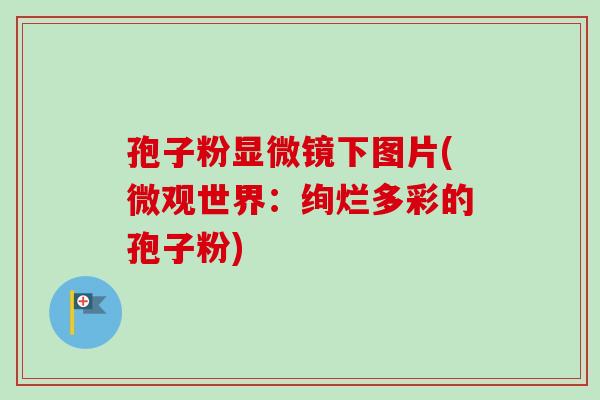 孢子粉显微镜下图片(微观世界:绚烂多彩的孢子粉) 孢子粉显微镜下图片(微观世界:绚烂多彩的孢子粉)