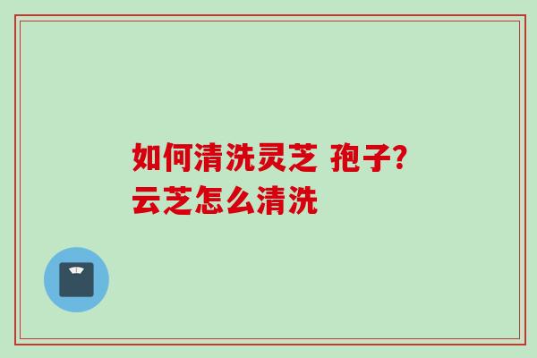 如何清洗灵芝 孢子？云芝怎么清洗
