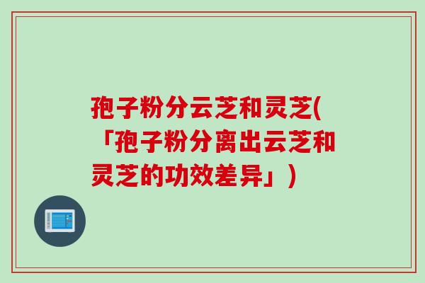 孢子粉分云芝和灵芝(「孢子粉分离出云芝和灵芝的功效差异」) 孢子粉分云芝和灵芝(「孢子粉分离出云芝和灵芝的功效差异」)