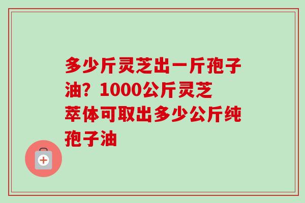 多少斤灵芝出一斤孢子油？1000公斤灵芝萃体可取出多少公斤纯孢子油