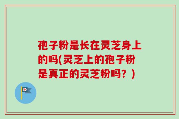 孢子粉是长在灵芝身上的吗(灵芝上的孢子粉是真正的灵芝粉吗？)